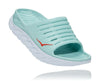 Eggshell Blue / White
