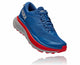 Dark Blue / High Risk Red