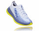 White / Blue Ice