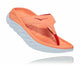 Cantaloupe / Fiesta