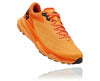 Blazing Orange / Persimmon Orange